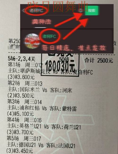 世界杯投注入口最新地址怎么获取实用指南