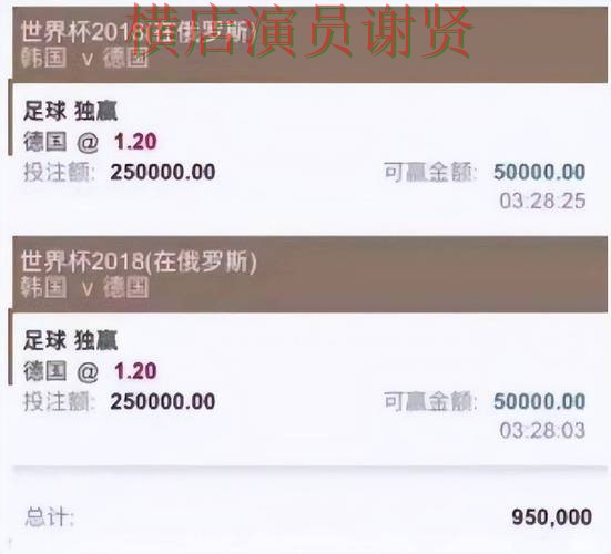 世界杯直播期间热门世界杯投注平台全面分析与直播入口分析